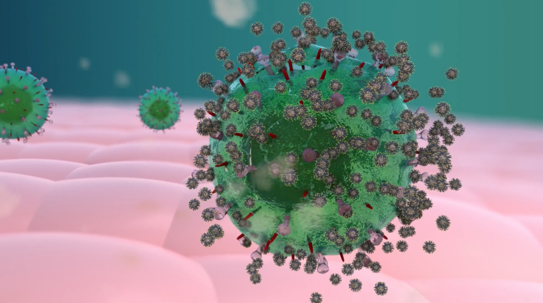 Sugarderived molecules kill viruses in groundbreaking new treatment