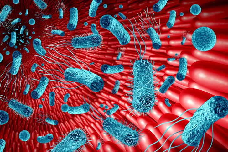 A new engineered bacteria secretes an enzyme that breaks down antibiotics in the intestine before the drugs can harm other microbes