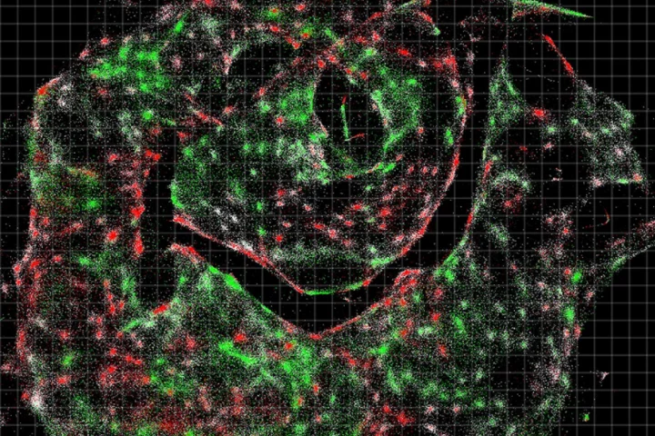A visualization of the data for cell populations in a sample, provided by DNA microscopy