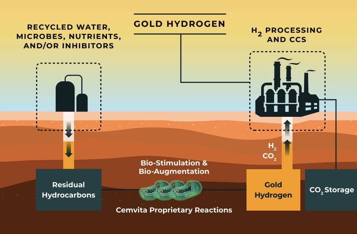 Microbes, nutrients and inhibitors, where necessary, will be pumped down into depleted oil wells. Hydrogen will bubble out, to be captured and sold, and carbon dioxide will be separated out for sequestration.