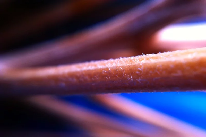 The Macro Cell Lens Band captures detailed macro images