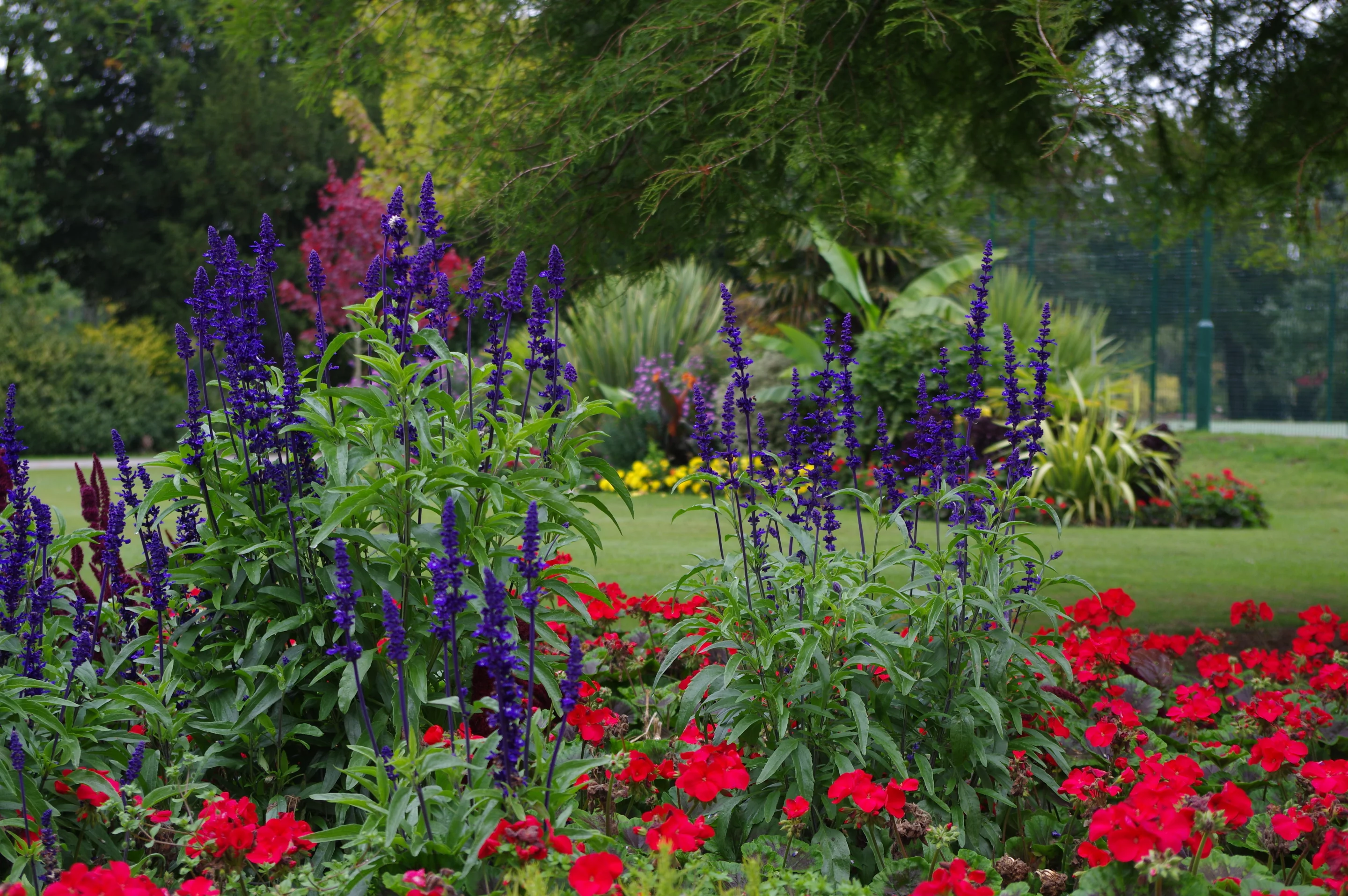 The Pentax K-3 II is a enthusiast-focused DSLR