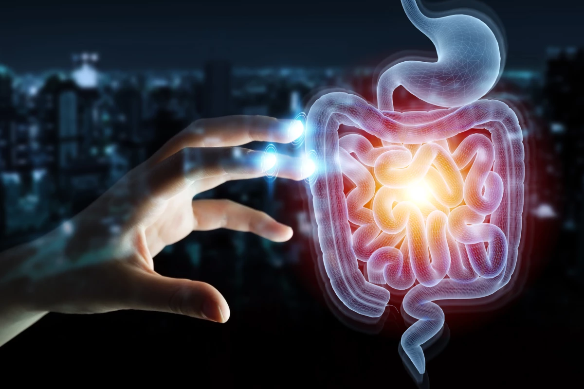New research shows how environmental factors can alter the microbiome and lead to intestinal inflammation