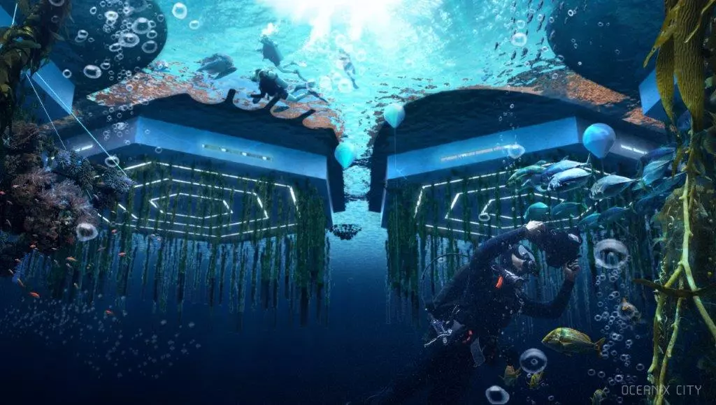 Oceanix City would feature seaweed, oysters, mussel, scallop and clam farming beneath sea level
