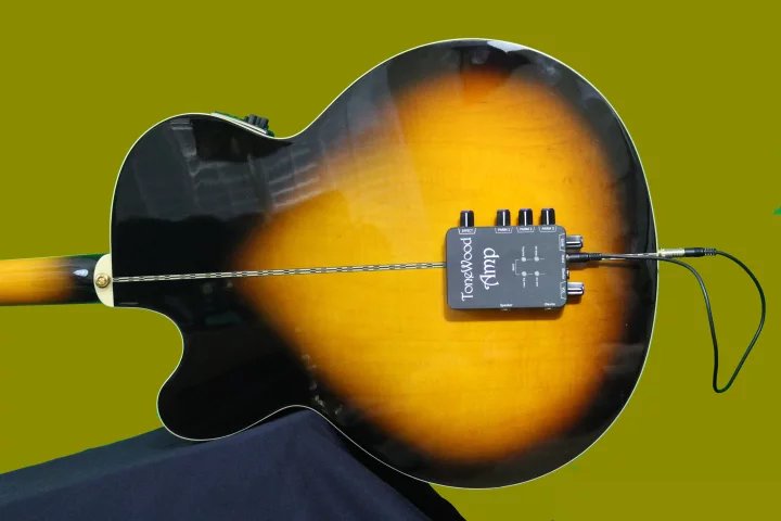 The ToneWoodAmp from Ofer and Helene Webman