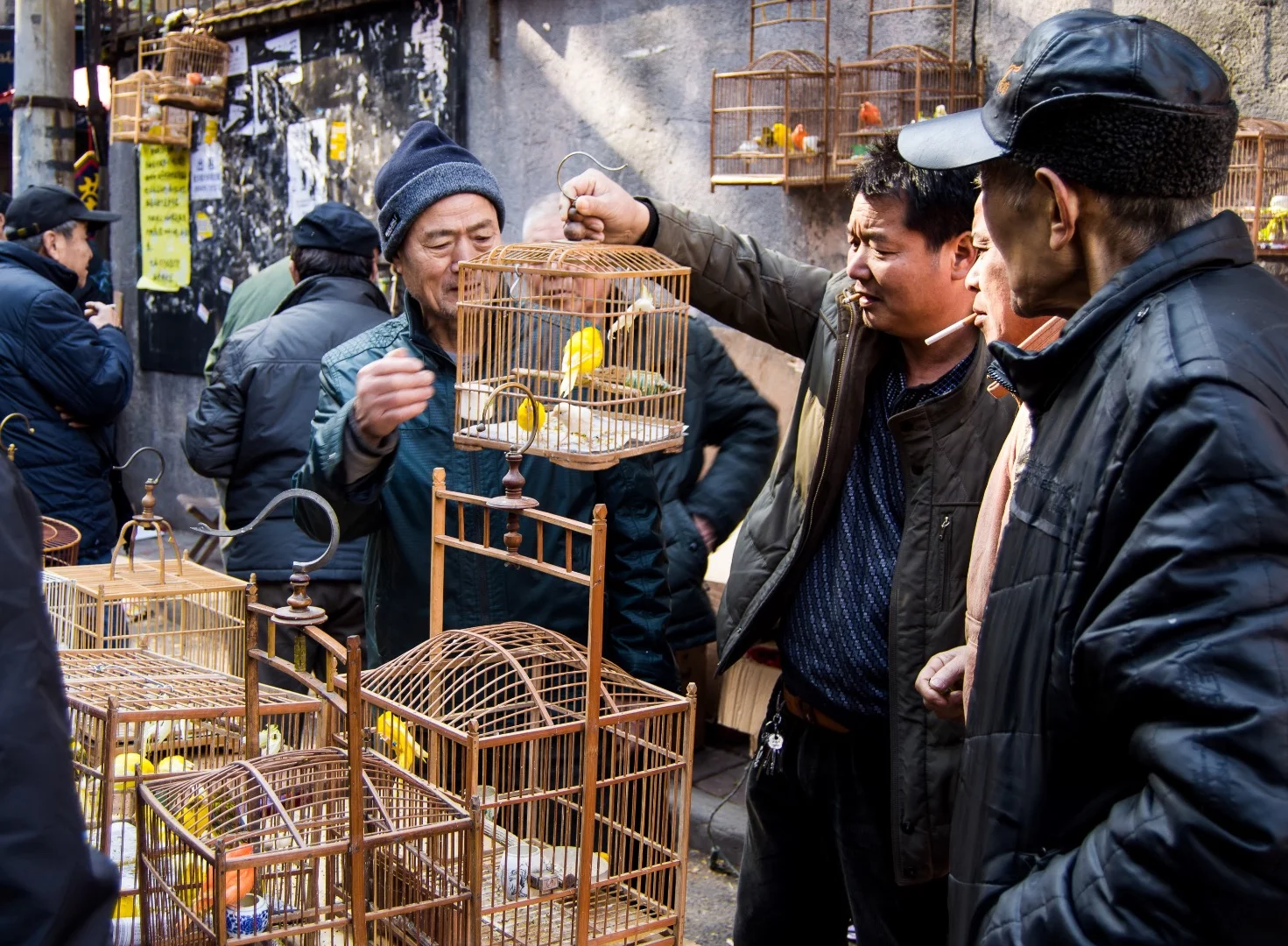 Runner Up for 06:00 Hour. Rachel Prout “The Bird Market”, taken Xi'an, China