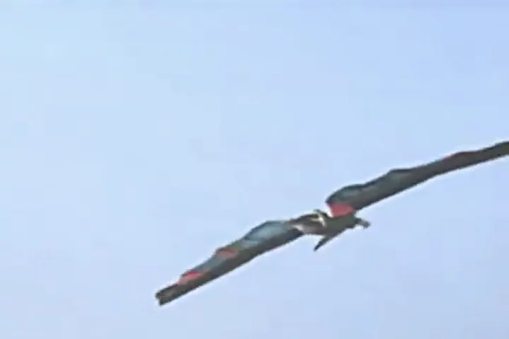 Some pilots have questioned the validity of this section of video