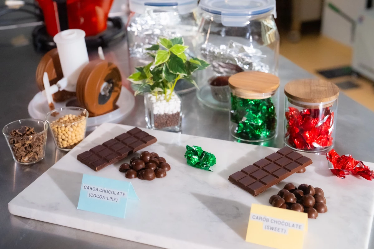 Carob candies made using the two new processes – they certainly look like chocolate