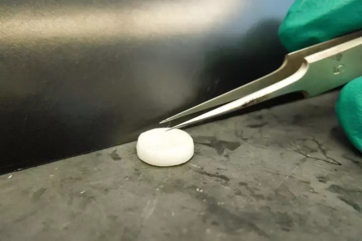 The 3D-printed structure can for the first time grow human hair follicles entirely in a laboratory dish