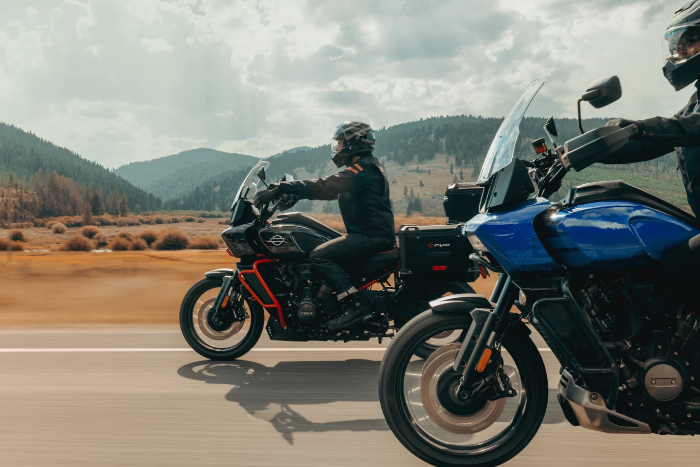 Harley-Davidson's troubles all started when the company’s annual report for 2024 revealed a revenue decline of more than 60%