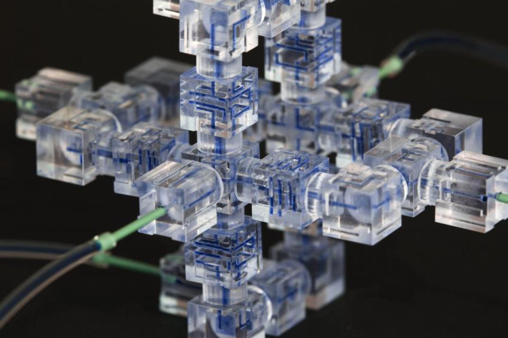 Лаборатория на чипе. Микрофлюидика чип. Лаборатория на чипе. Микрофлюидика чип. Микрофлюидика чип.