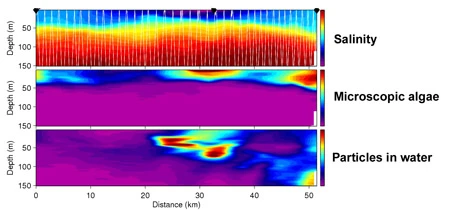 A cross section of 50 km (30 miles) of ocean created by MBARI's AUV off the coast of California (Image: Image: John Ryan/MBARI)