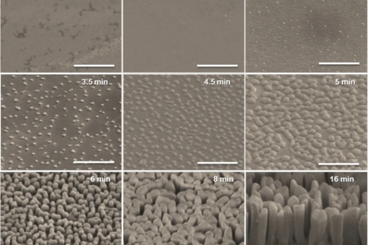 An array of nanoscale pillars ("nanograss") structure could make organic solar cells more efficient by capturing light (Image: UMass Amherst)
