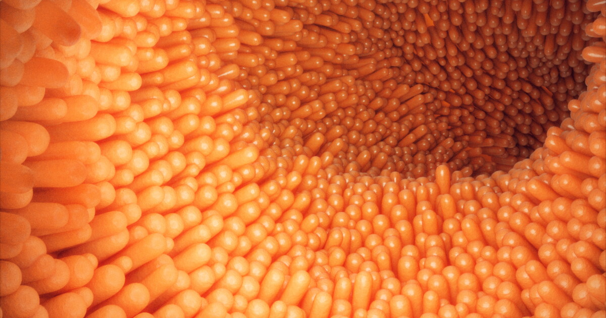 Intestine-Inspired Microbial Biobattery Delivers Eight-Fold Jump in Power Generation