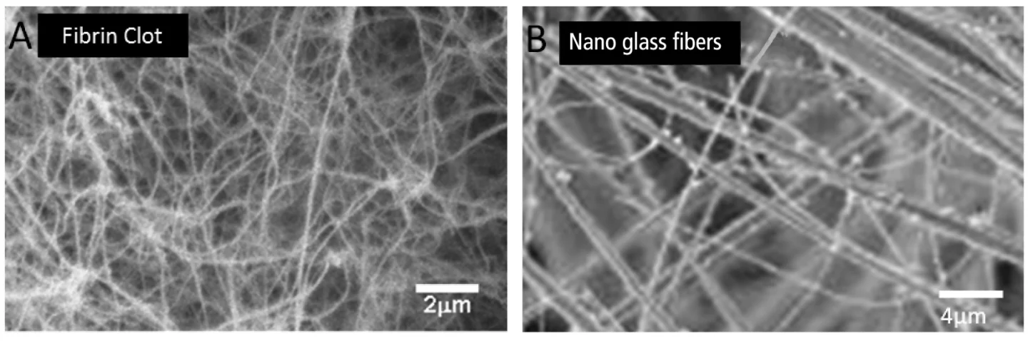 The microstructure of fibrin, as compared to that of DermaFuse