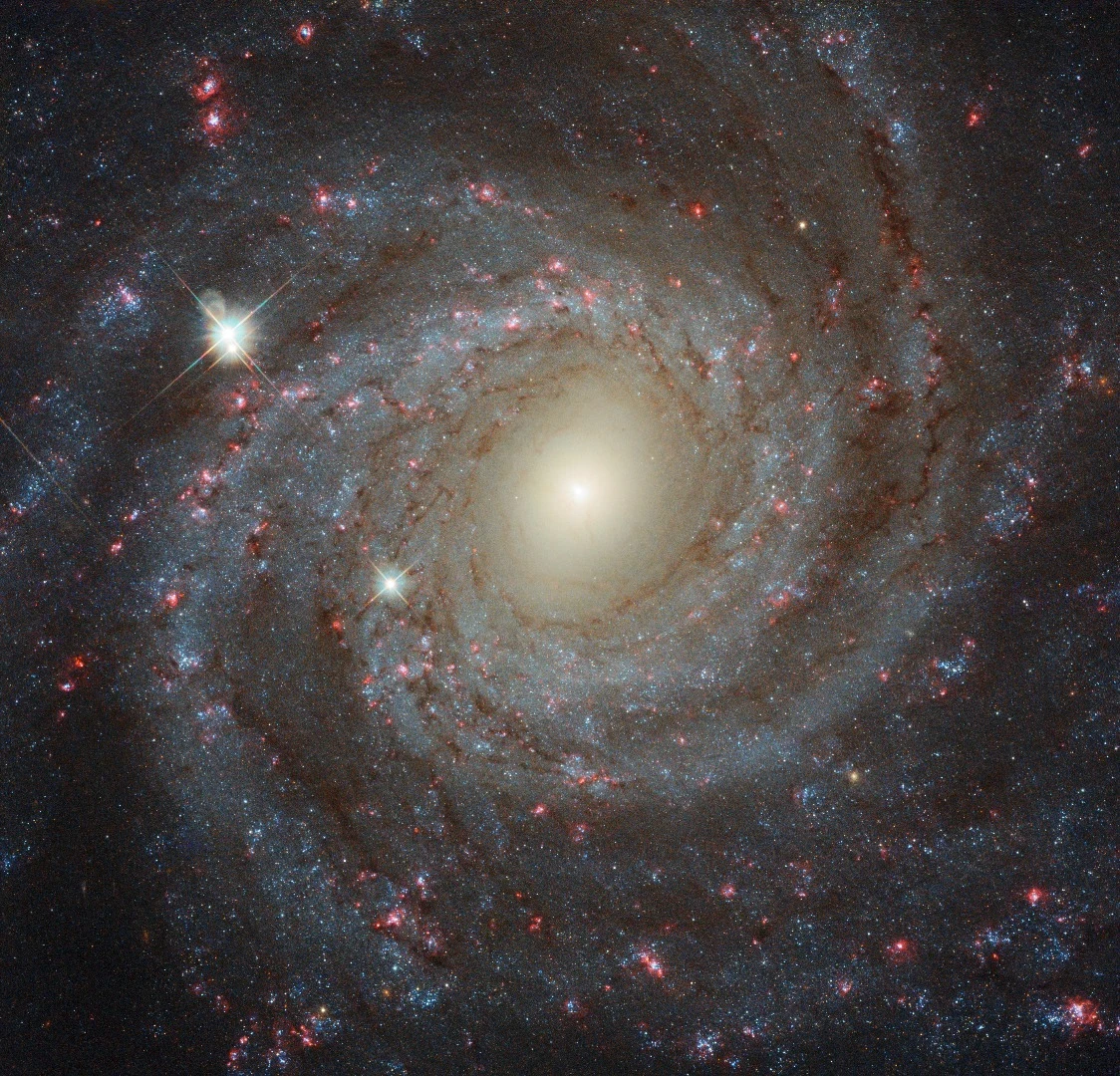 A composite image of NGC 3344