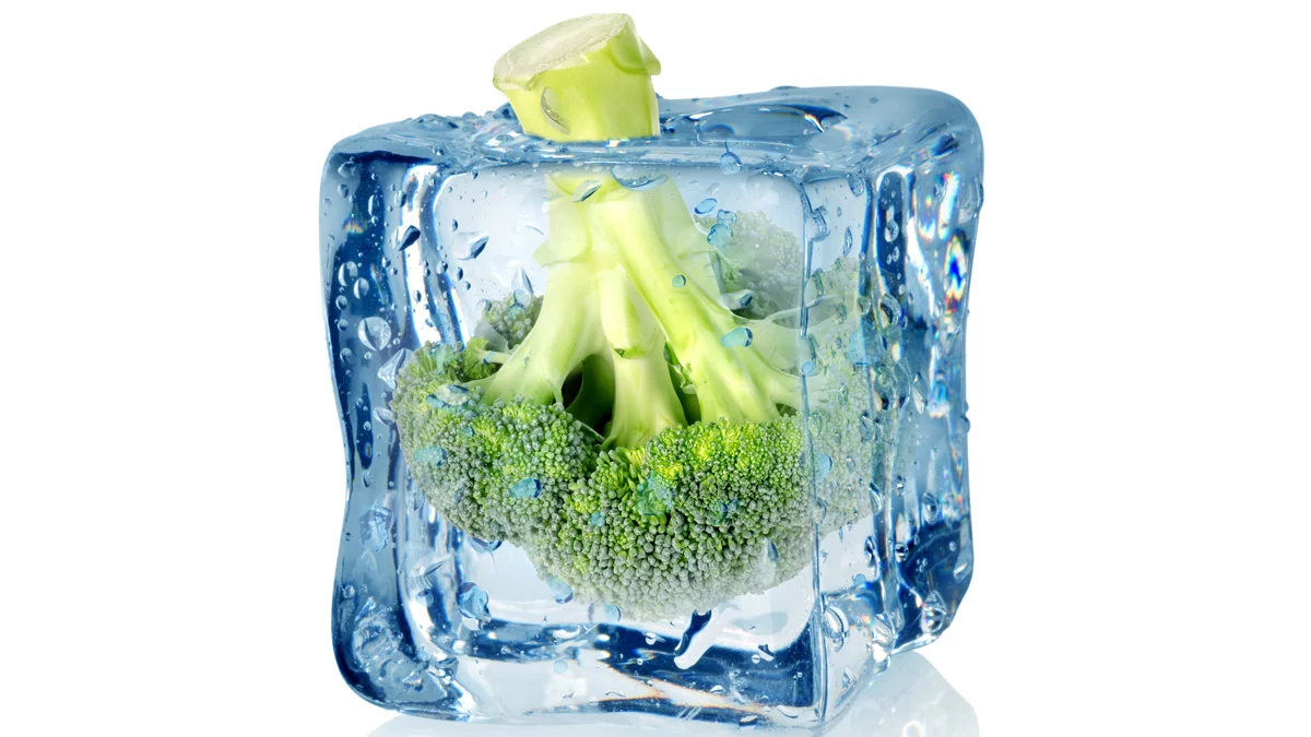 Researchers have found a simple way to preserve broccoli’s cancer-fighting properties after freezing (Image: Shutterstock)
