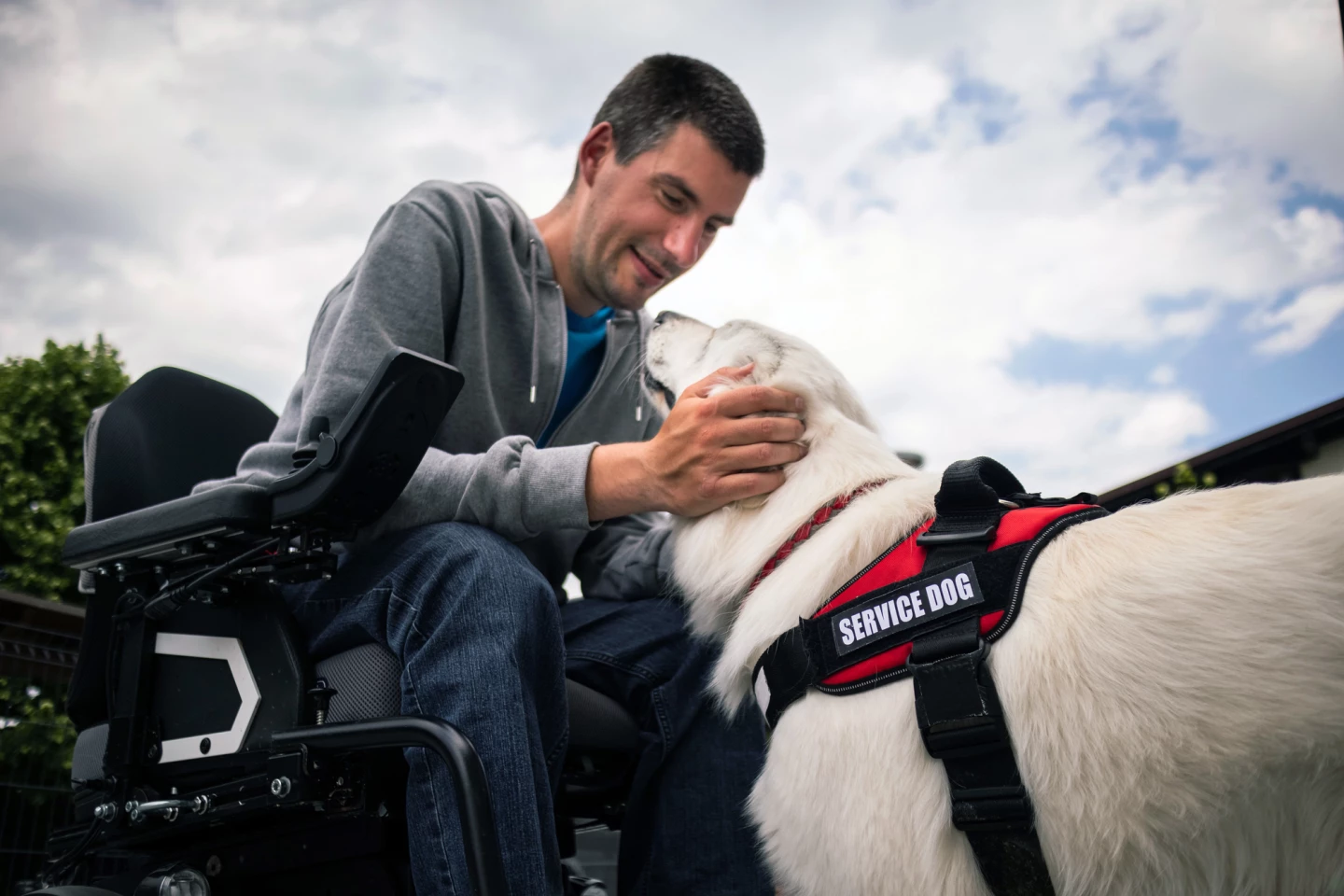 Even if the veteran was training the dog for someone else, she still received the benefit