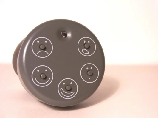 The remote control