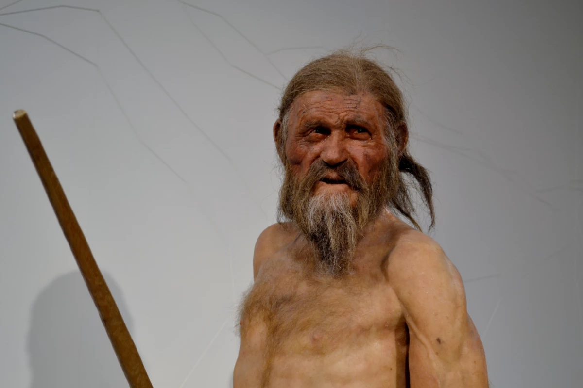 An earlier reconstruction of Ötzi the Iceman in a museum in Italy, which may now need updating after a new study conducted a more comprehensive genomic study