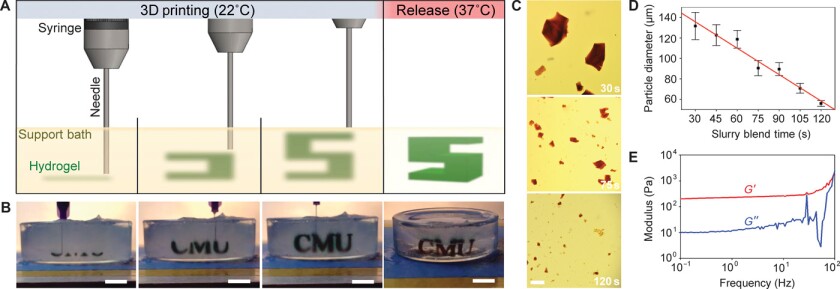 Diagrams show the process of injecting and releasing 3D-printed soft tissue (hydrogel)