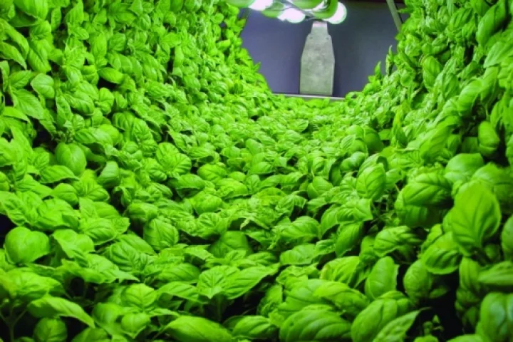 A fully-laden Volksgarden ... a ferris wheel ride for plants that produces optimum growth levels in record time, indoors