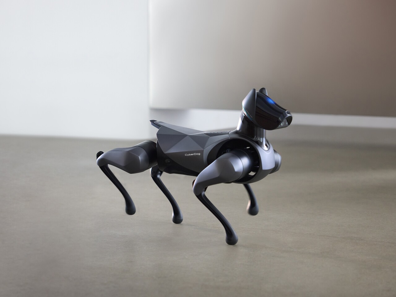 The CyberDog 2 can move forward at speeds up to 1.6 meters per second