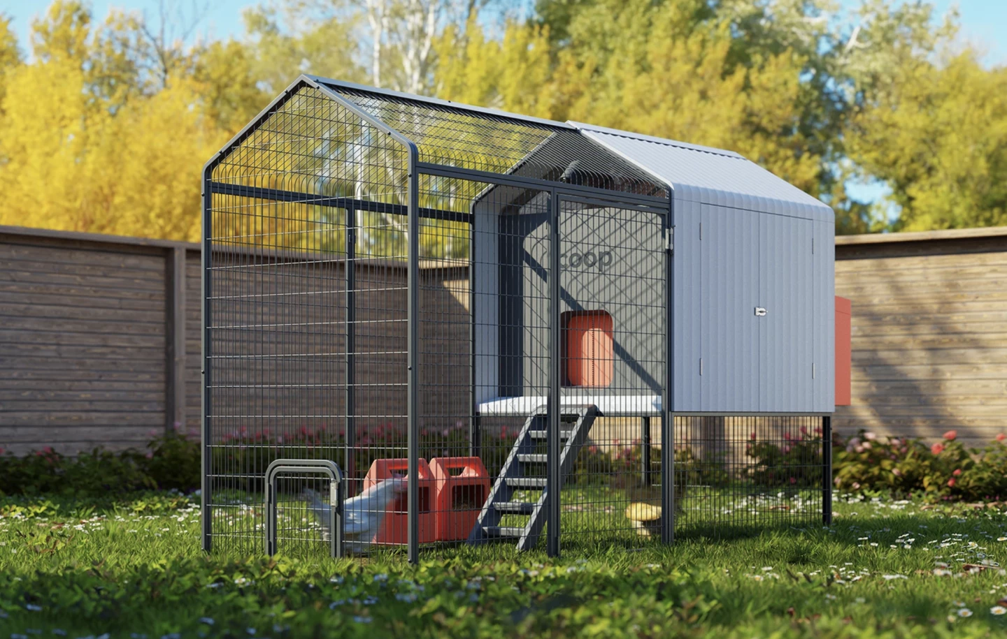 The 'smart home for chickens' has been a huge hit for bird-beginners