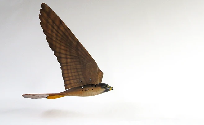 Robirds are claimed to virtually eliminate the chances of nuisance bird flock habituation
