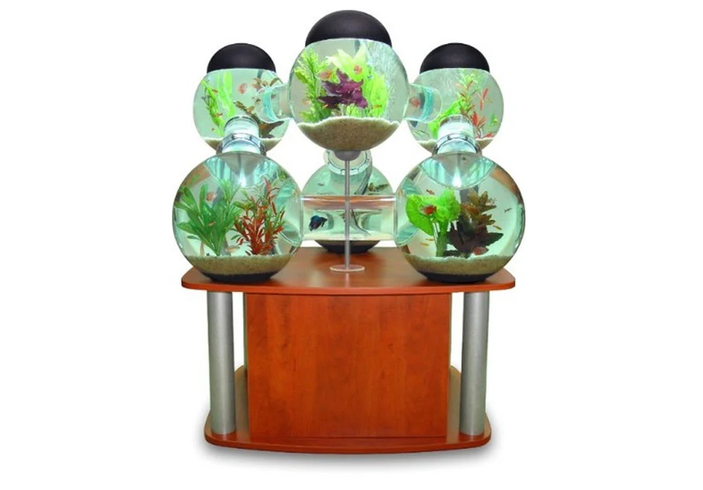 Fish can swim between the aquarium globes in the Labyrinth Aquarium