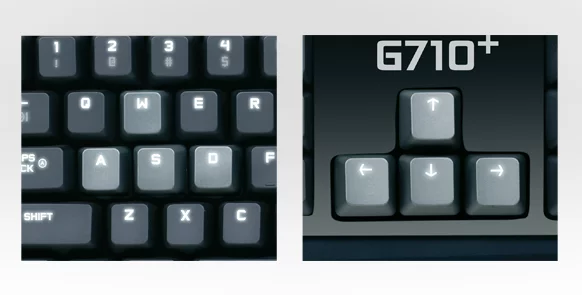 The WASD and arrow keys have independent LED backlights