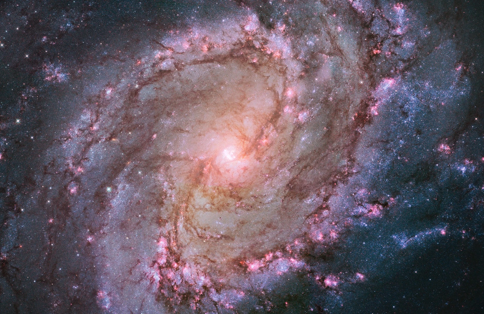 Hubble view of M83, otherwise known as the Southern Pinwheel galaxy