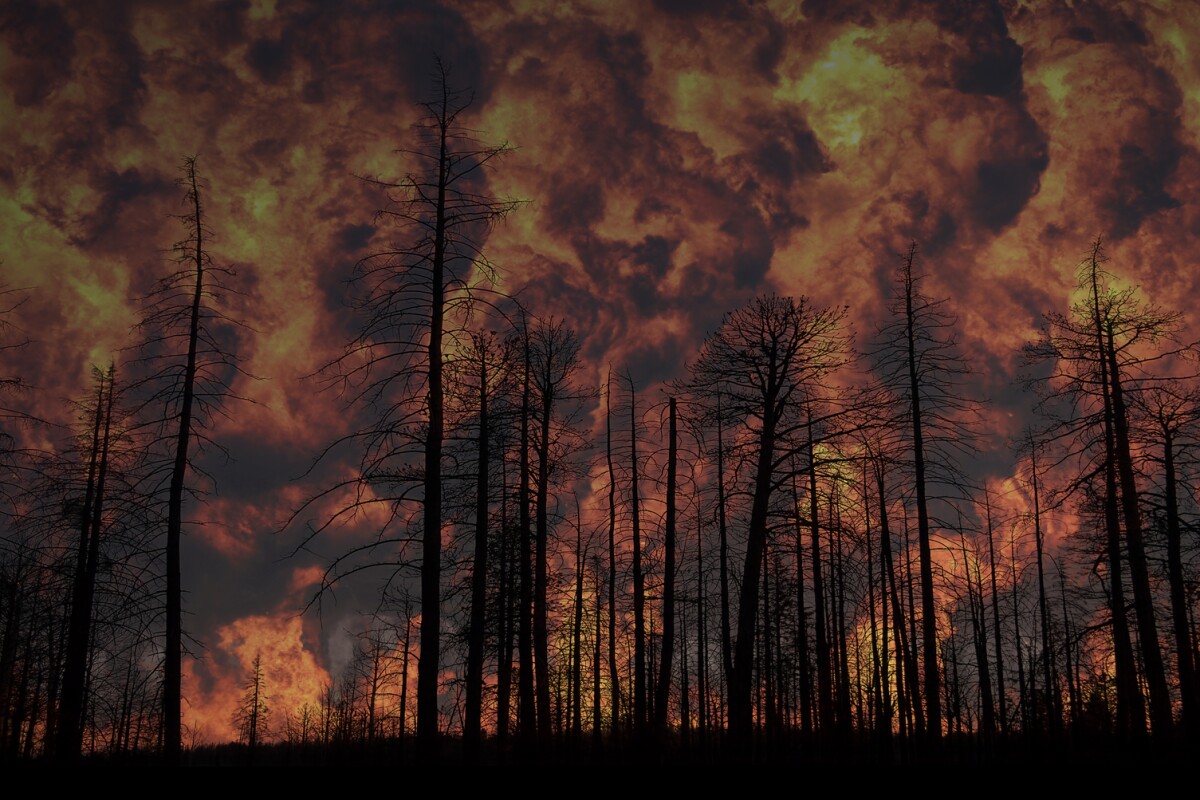 The current version of the device detects the carbon monoxide levels and high temperatures associated with fires