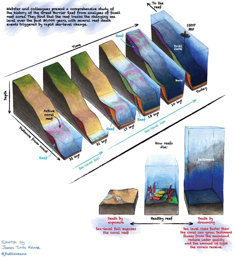 A graphic representation of the mechanisms behind the Great Barrier Reef's adaptations to changing climate in the past
