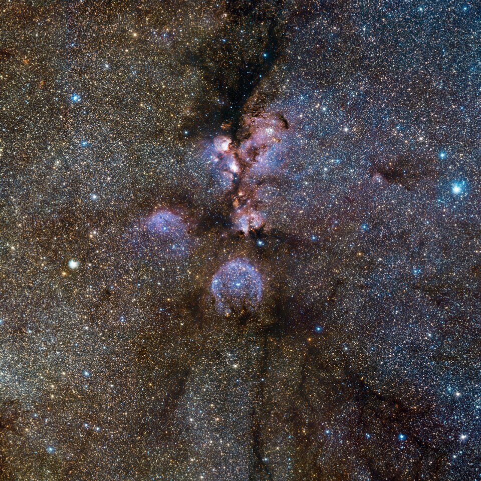 VISTA's infrared view of the Cat's Paw Nebula
