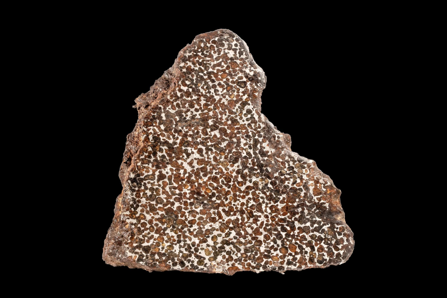 Weighing approximately 15.9 pounds (7.2 kg) and measuring 11 ¾ x 10 ½ x 2 ¾ inches, the cut surface of this portion of Sericho meteorite reveals its Olivine crystal makeup
