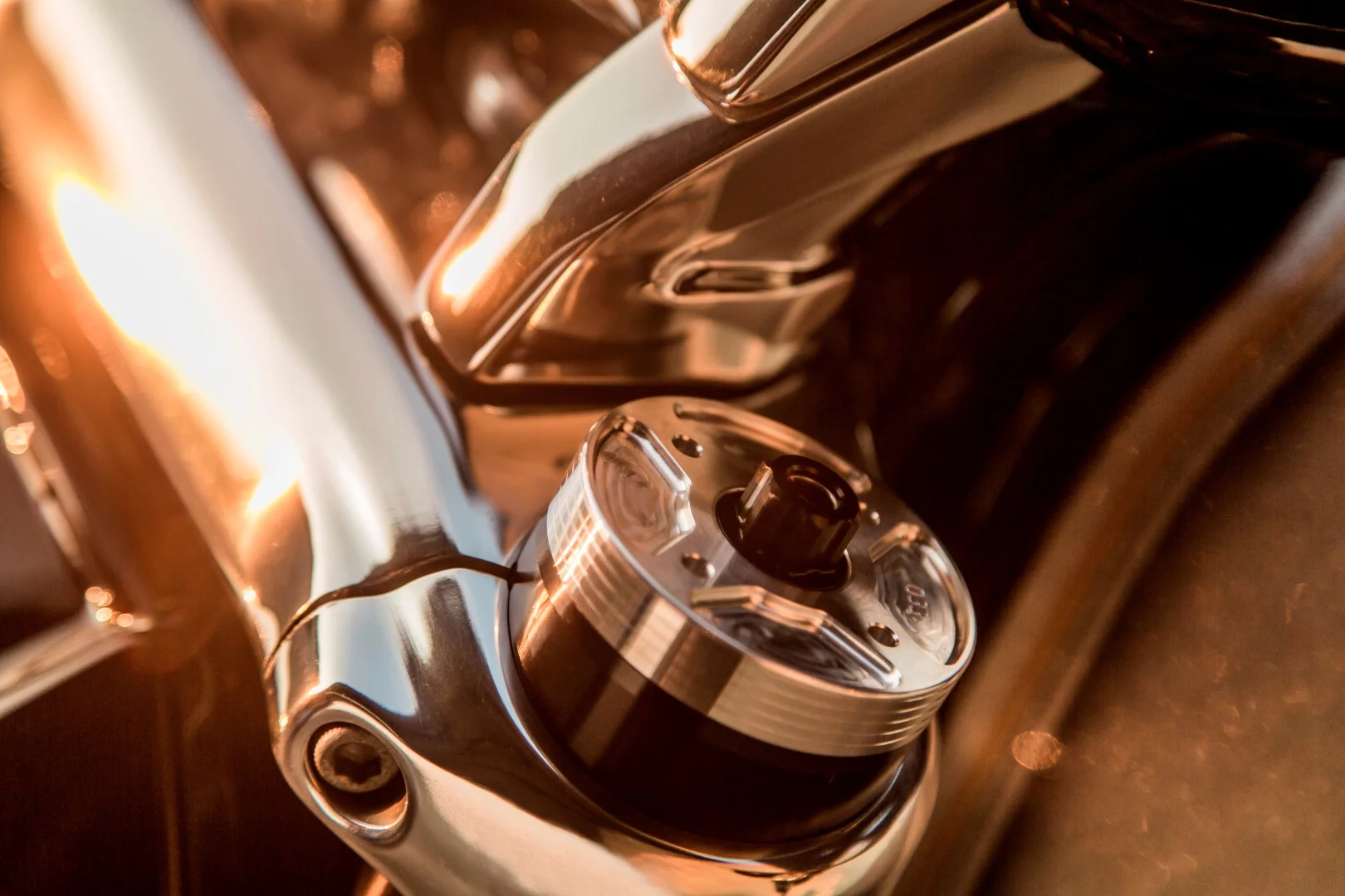 XDiavel by Roland Sands: custom fork caps