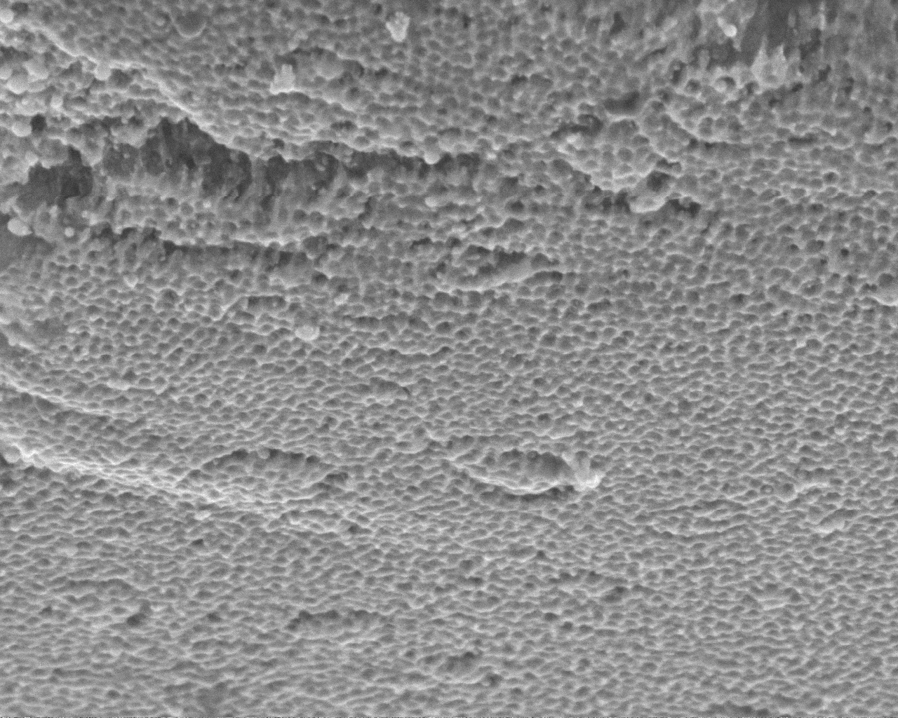 A porous nickel-fluoride film less than a micron thick, seen here in an electron microscope image, is an effective electrode in a new type of battery created at Rice University (Image: Tour Group/Rice University)