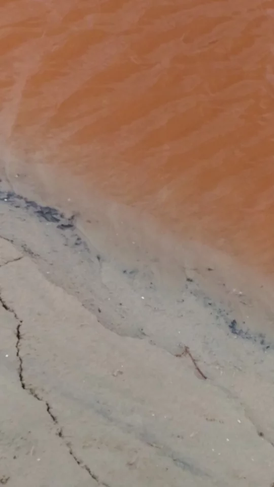 The water in the candy-pink Laguna de Peña Hueca derives its color from the red cells of the salt-loving algae Dunaliella salina EP-1