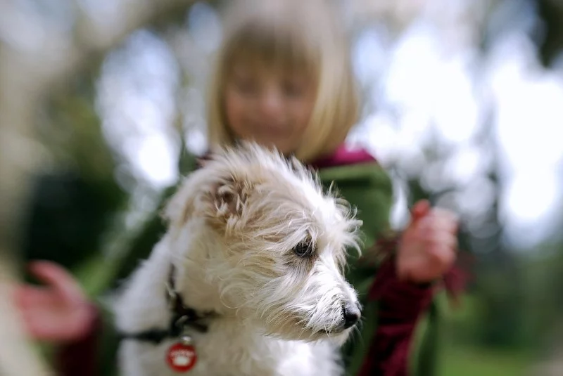 Composer Pro with 50mm double glass optic (Photo by Kirsten Hunter)