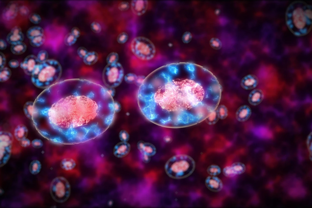 Microbes like bacteria could prove valuable tools in moving our cancer-fighting efforts forward