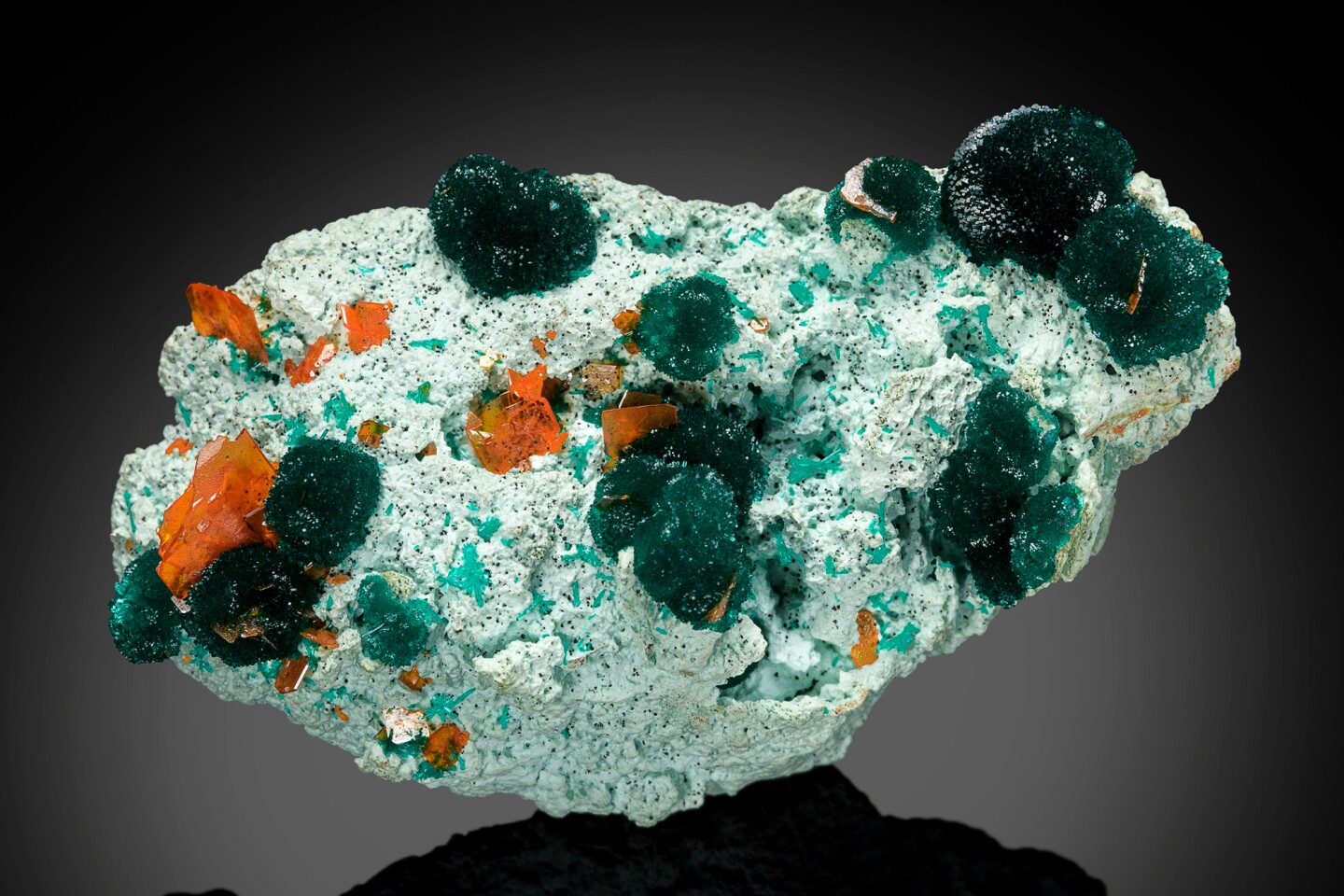 Dioptase, Wulfenite; 7.5 cm across. Mammoth St. Anthony Mine, Tiger, Pinal County, Arizona, USA. Rock H. Currier collection (1608); Mark Mauthner photo.