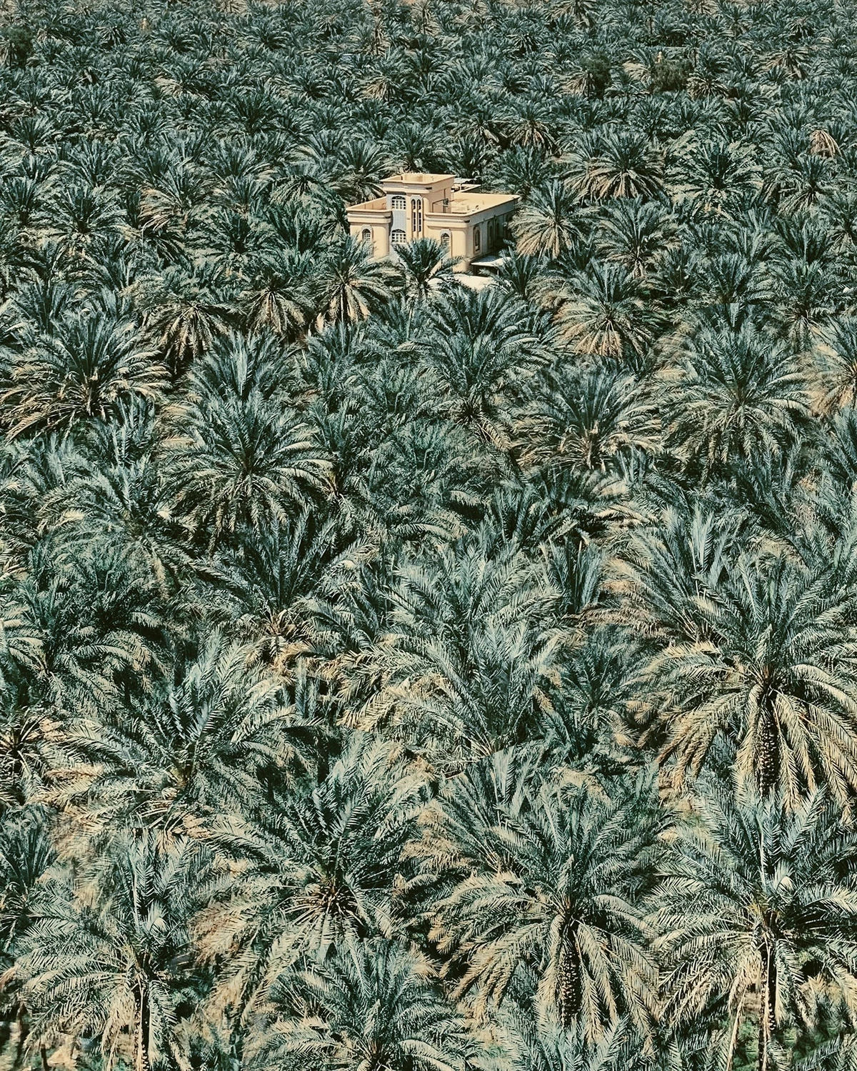 1st Place / Special/Travel / Wanderlust. 'The Banana Pool of Oman'