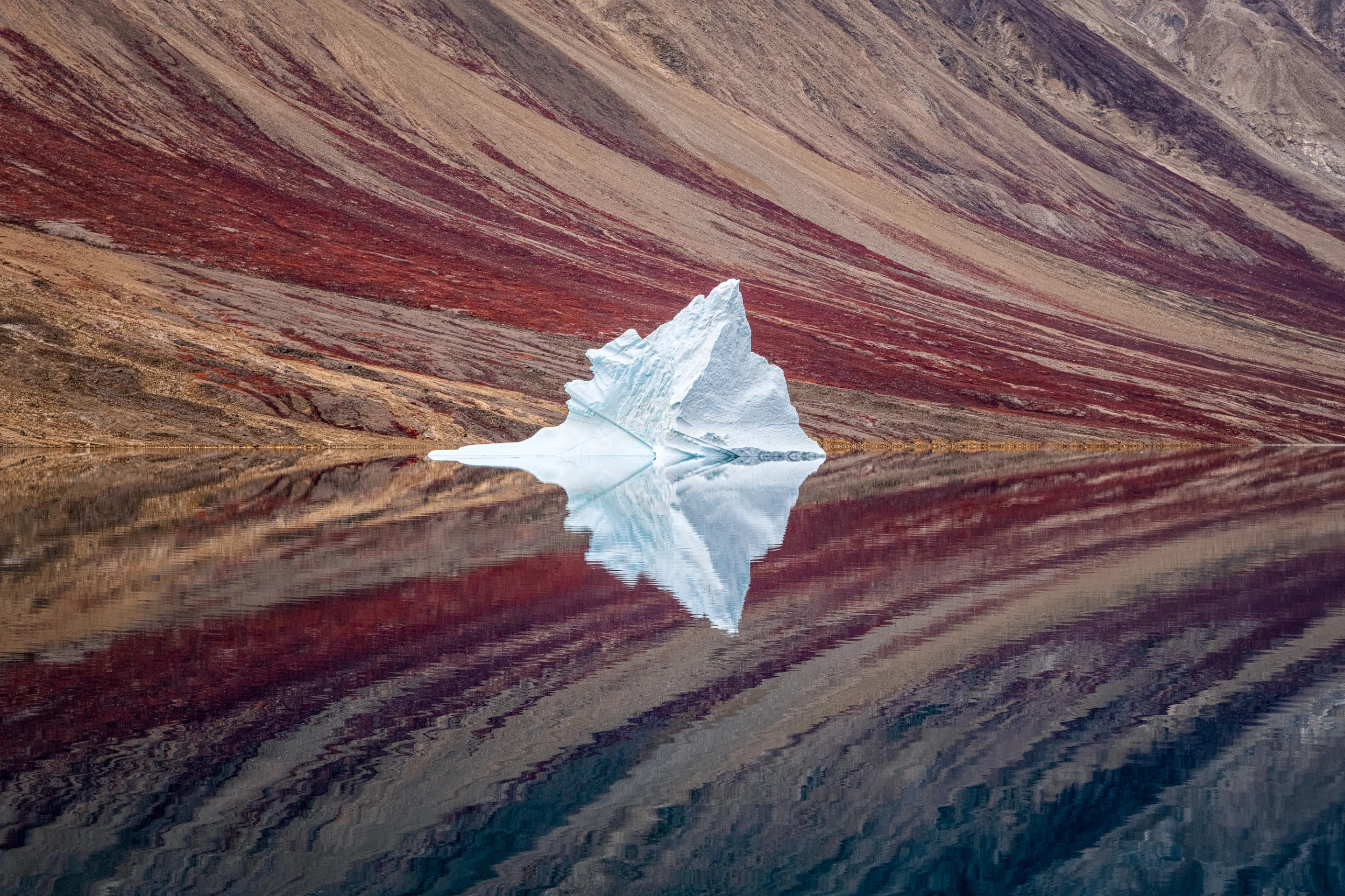 Winner, Landscape, Ice Reflections. A solitary iceberg, set against the fjord walls in Northeast Greenland National Park