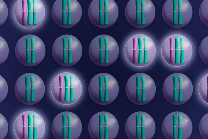 Cells with extra chromosomes are linked to cancer progression, but a new study has found that this could be their weakness too