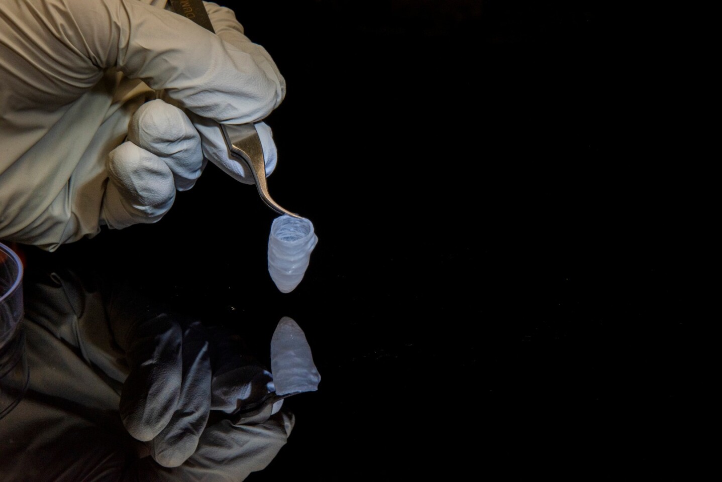 The model was made of a scaffold of nanofibers, spun into a cone shape before culturing heart cells on top of it