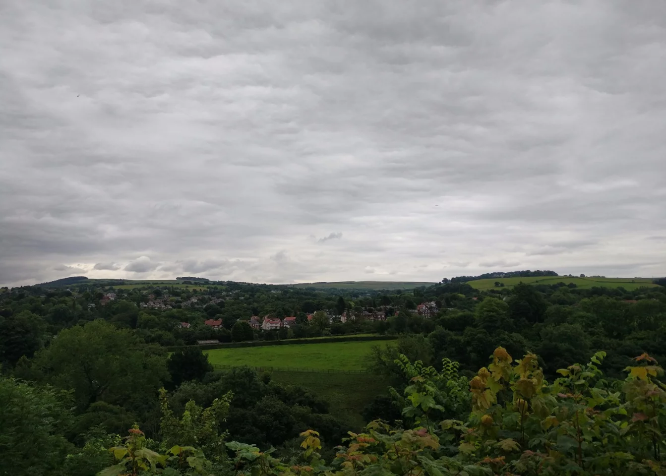 The weather wasn't great when this shot was taken, but the OnePlus 3 camera keeps a lot of detail and captures color accurately