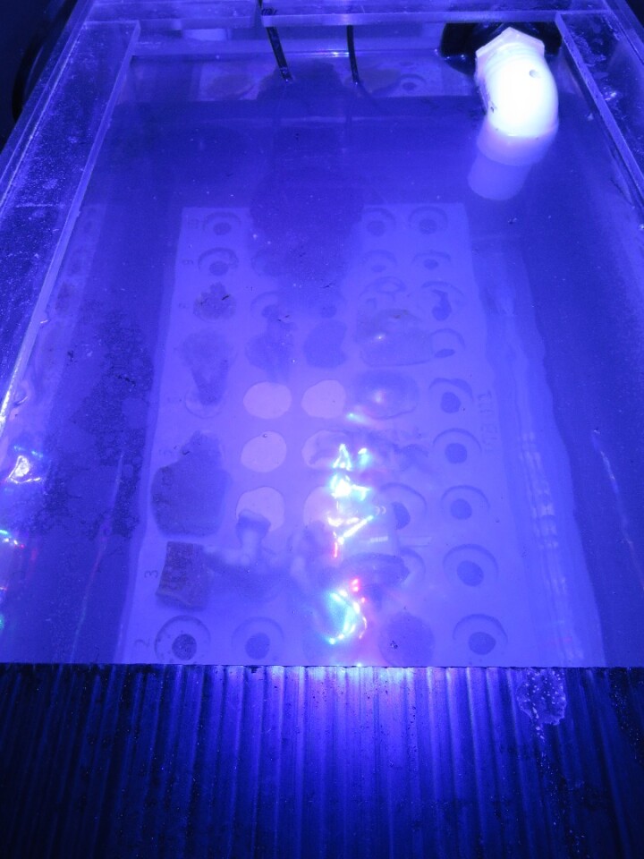 The biodegradable film is just one molecule thick, and is made out of calcium carbonate – the same thing that coral skeletons are composed of