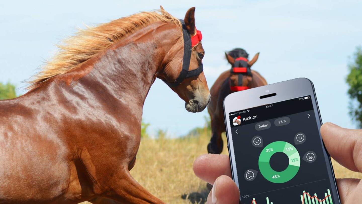 HoofStep users can utilize the app whenever they want, simply to check where their horse is and what it's doing