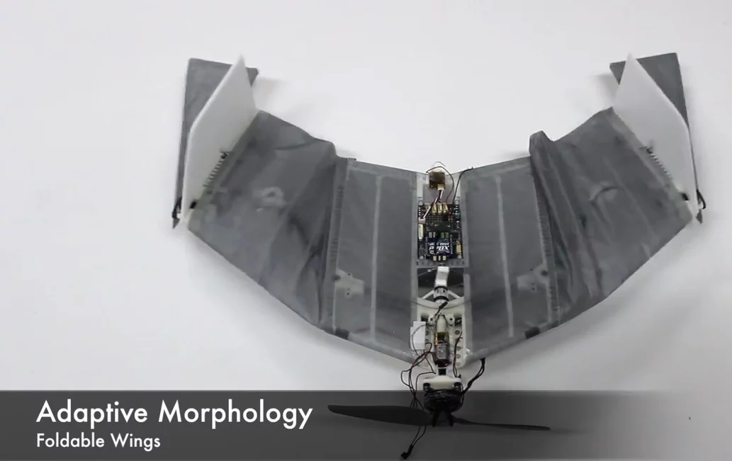 The DALER prototype drone uses adaptive morphology to alter its wing size and shape (Photo:EPFL)